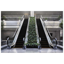 Sicher Elevator Gre20 Slim Escalator